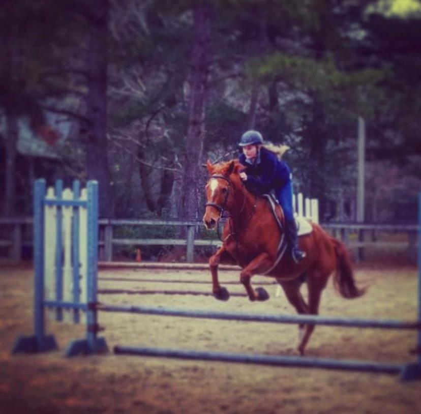 Elise - Veterinary Kennel Staff - Riding Horse