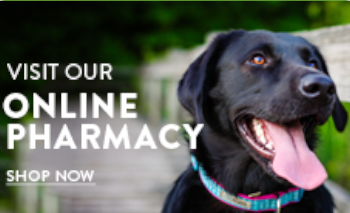 Online Pharmacy Banner