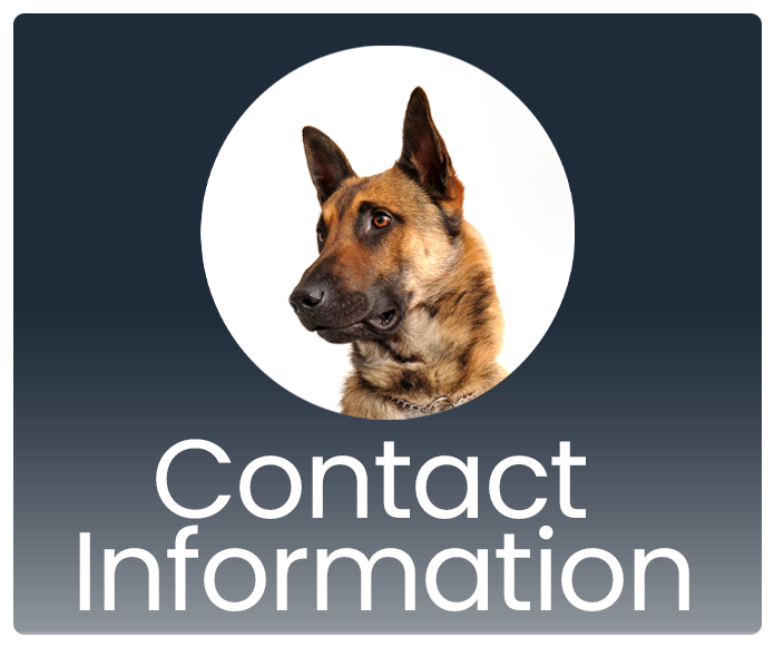 Contact Information